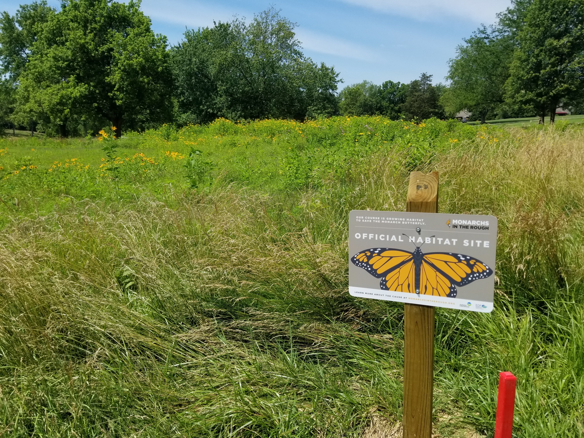 Monarch butterfly habitat at Blue Ash Golf Course